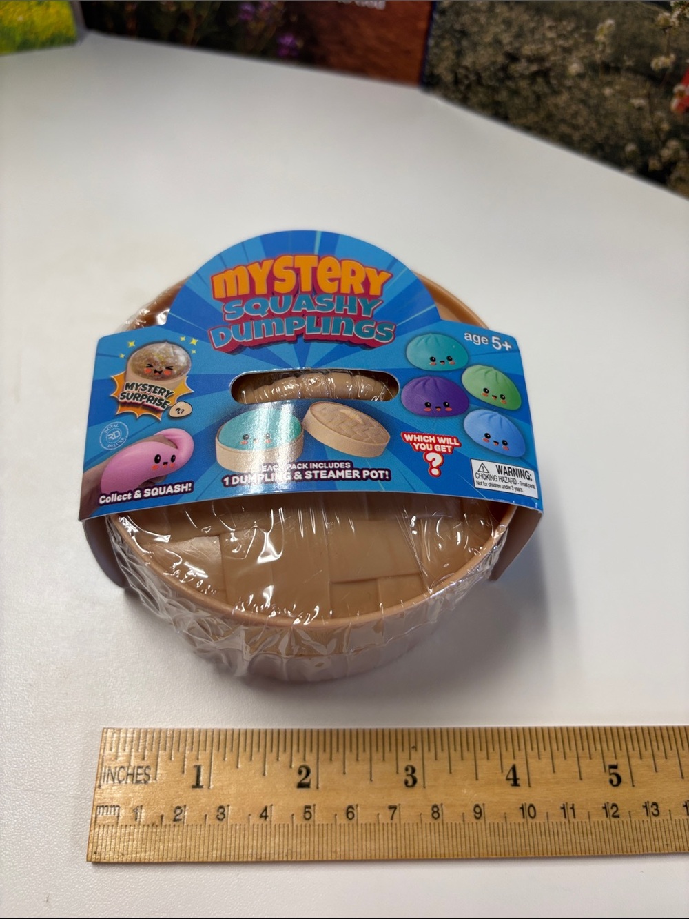 DUMPLING-NEW-MYSTERY